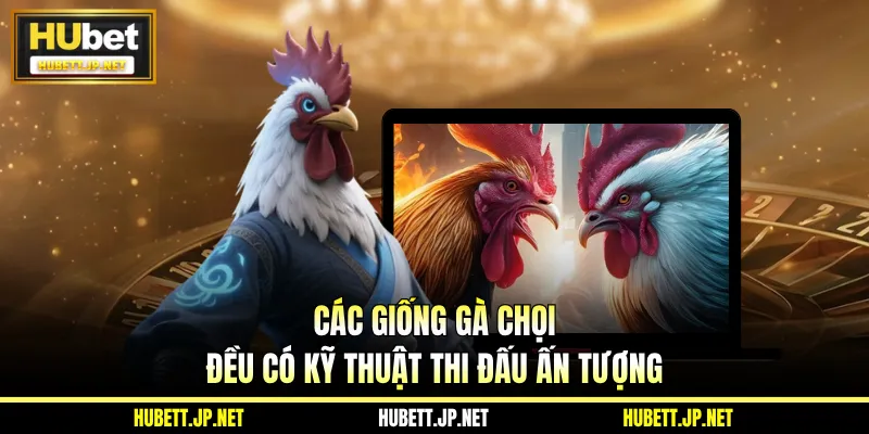 Các giống gà chọi đều có kỹ thuật thi đấu ấn tượng